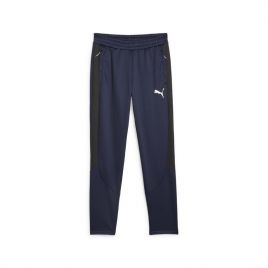 Pantaloni Puma EVOSTRIPE Warm Pants Barbati