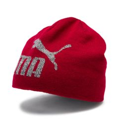 Caciula ESS LOGO BEANIE 