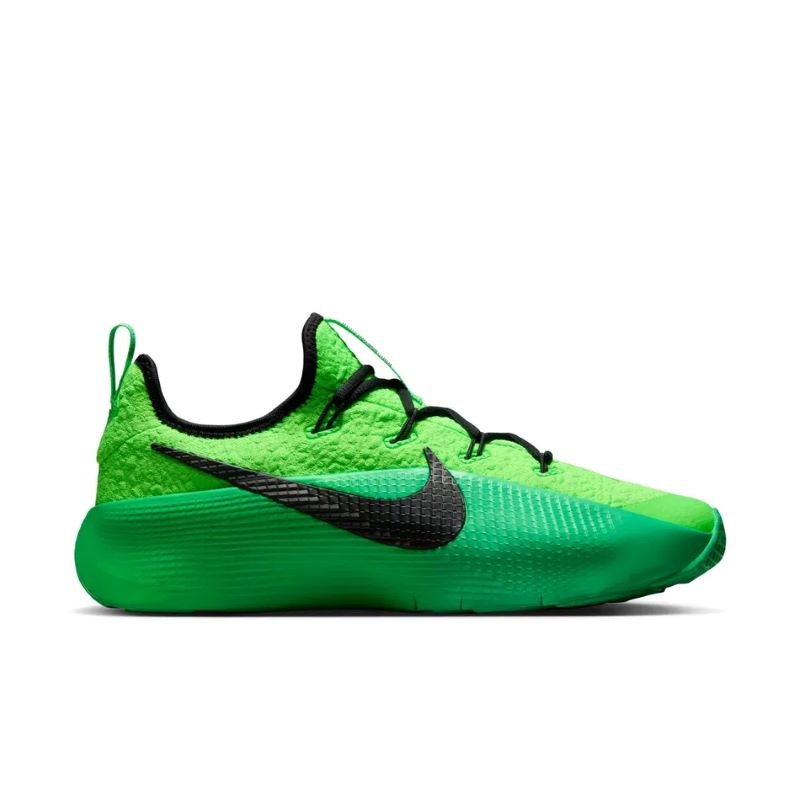 Pantofi sport Nike LEBRON TR 1 Barbati